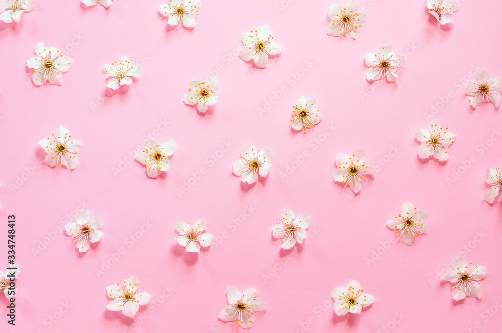 Flower texture on pink background. Background of fresh flowers. Flower pattern wallpaper, postcard