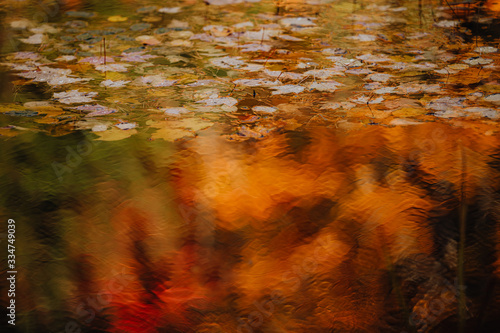 feuilles et couleurs d'automne dans le ruisseau tel une peinture