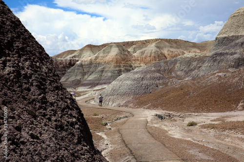Arizona / USA - August 01, 2015: Petrified Forest National Park landscape, Arizona, USA