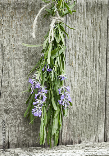Lavender tuft hanging under the roof and drying on the background of old textured wooden wall  closeup  copy space  agriculture and aroma herbs concept  vertical
