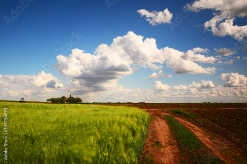 field and blue sky