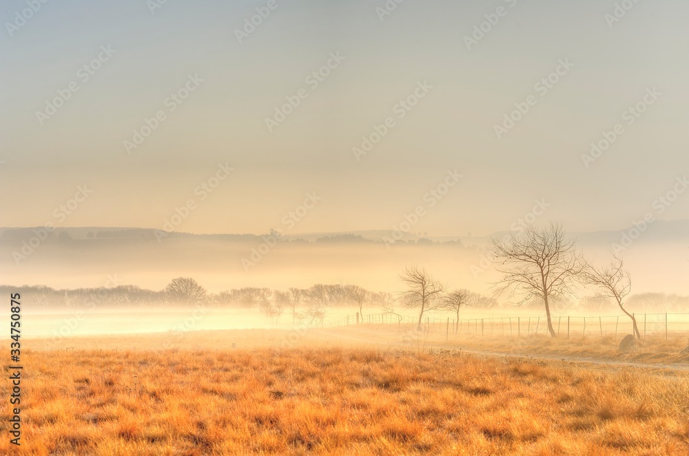 MISTY DAWN IN THE UMZIMKULU VALLEY, Underberg, South Africa 