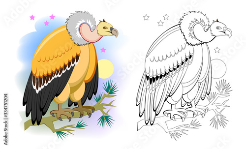 Colorful and black and white page for coloring book for kids. Illustration of a cute vulture. Predatory bird. Printable worksheet for children textbook. Flat vector cartoon image.