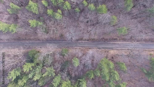 Aerial view of rural road near forest