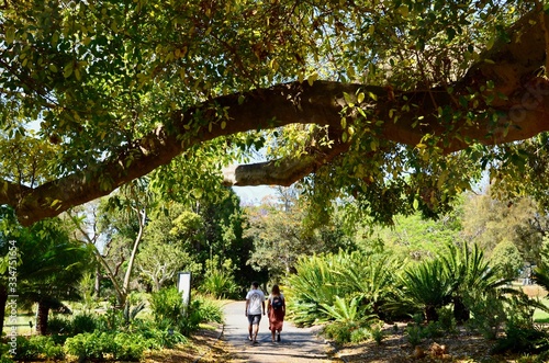 Photography People walking in the Royal Botanic Gardens in Sydney, Australia