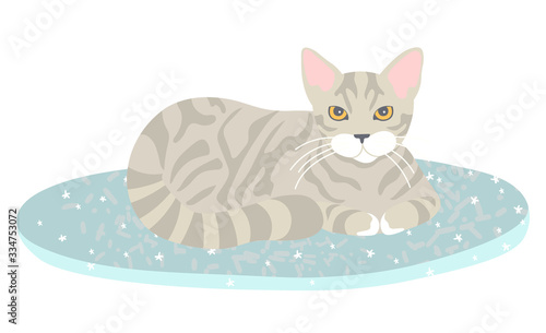 Grey striped cat lying on blue rug with star pattern isolated on white. Fluffy, furry pet resting , Sweet home concept flat cartoon vector illustration