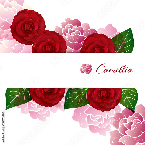 background illustration of Camellia decorations