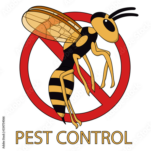 wasp - warning signs. white background isolated vector illustration