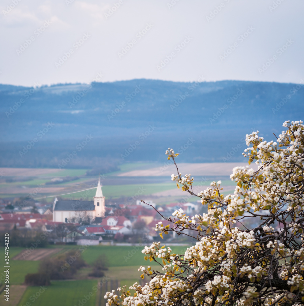 Village of Schützen in Burgenland with blooming tree in spring Village of Schützen in Burgenland with blooming tree in spring