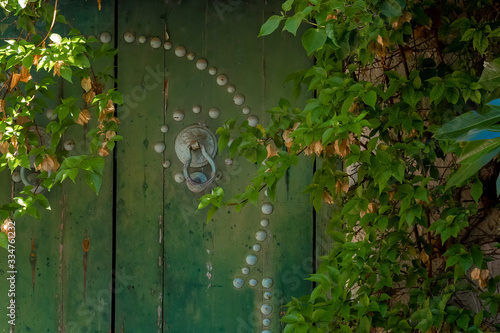 Traditional arabian door in Tunisia