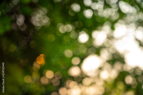 Abstract bokeh light on blurred tree background, Vintage style