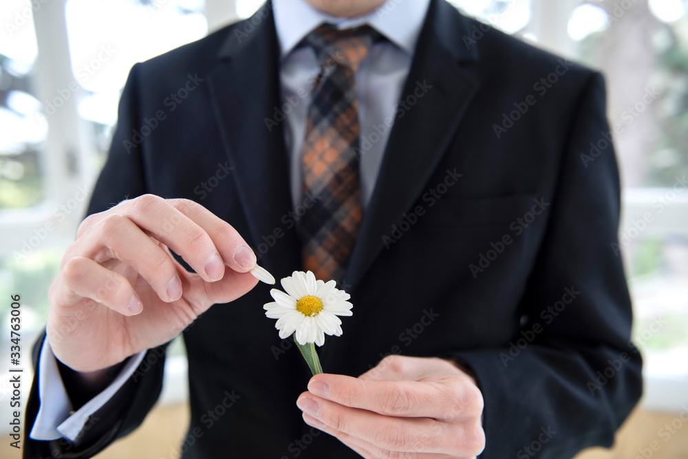 Man in a suit defoliating the daisy Man in a suit defoliating the daisy