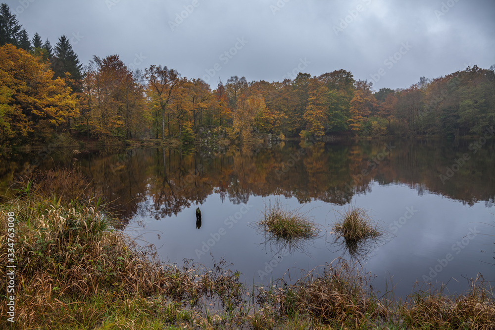 Fototapeta premium Autumnal lake shore with forest under sky. Trees on rock coast of rippling lake in autumn sunny day. Beautiful panoramic landscape with yellow trees on big stones and lake.