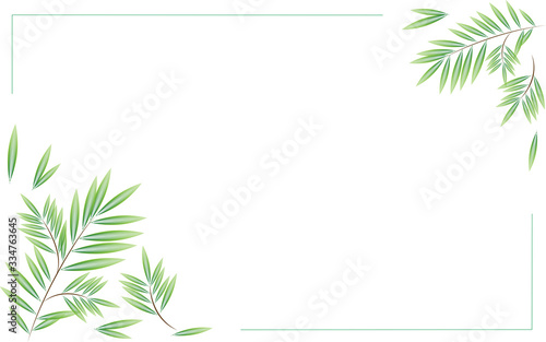 willow branches lines collage vector
