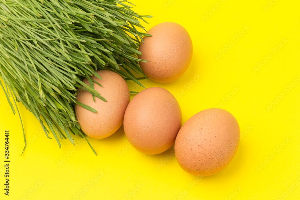 Brown eggs on green grass, isolated on yellow background Brown eggs on green grass, isolated on yellow background