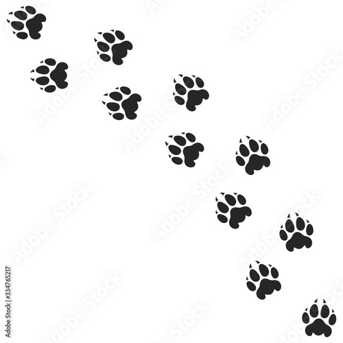Lion paw print. Silhouette. Isolated paw prints on white background