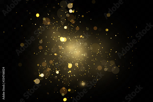 Christmas.cosmic dust. Glitter effect of particles. Gold is sparkling. Star dust sparkling particles on a transparent background. Vector illustration.magic.
