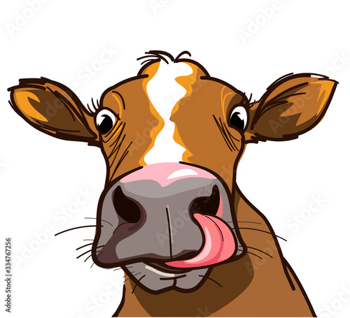 Curious cow with long tongue looking at you 