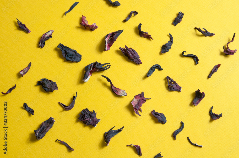 Fototapeta premium the black and red dry petals of the Sudanese tea rose are arranged in rows on a yellow background from a close up view from above