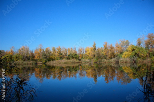 Blue skies and trees are reflected in the lake