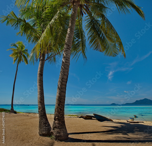 Fototapeta Naklejka Na Ścianę i Meble -  Malaysia. Coconut palms at numerous reef Islands near the island of Borneo near the town of Semporna