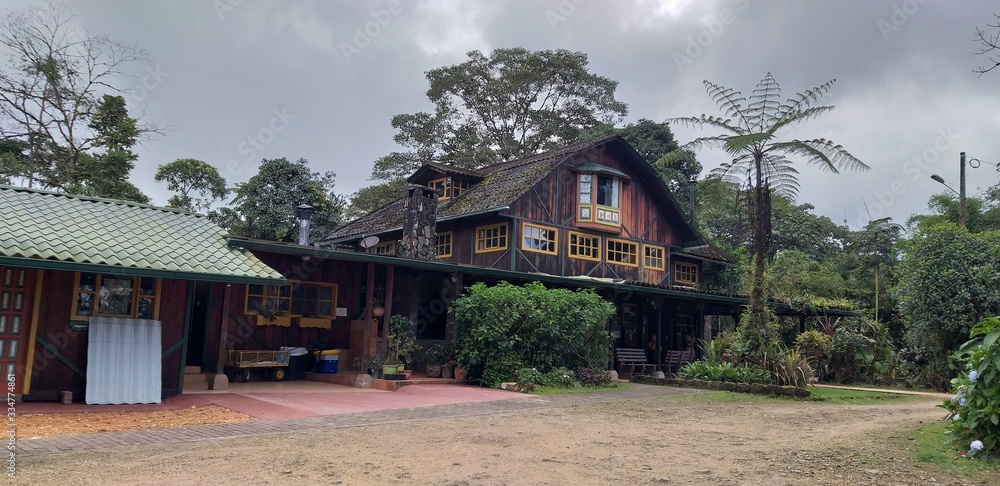 old wooden house in the forest old wooden house in the forest