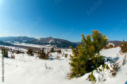 clearing in the winter mountains on a sunny day for outdoor activities and walks © mikhailgrytsiv