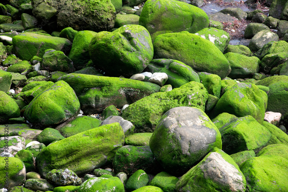 Piedras en la playa, color verde. Piedras húmedas. Piedras en la playa, color verde. Piedras húmedas.