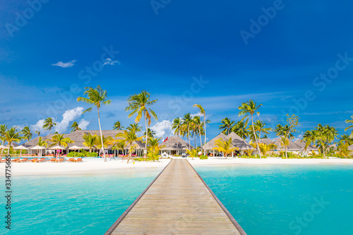 Fototapeta Naklejka Na Ścianę i Meble -  Beautiful beach with jetty at Maldives. Luxury travel, summer landscape with palm trees over blue tropical sea and white sand. Amazing beach landscape, tropical island resort and hotel, tranquil coast