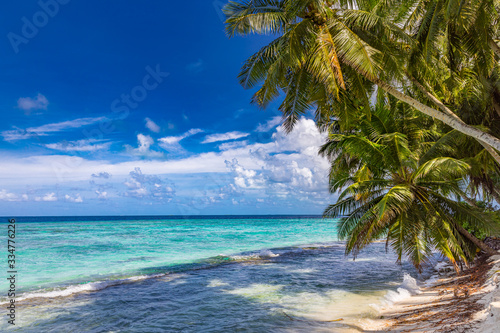 Tropical beach landscape with blue sea horizon. Palm trees over calm sea  sunny summer weather  exotic travel and vacation destination
