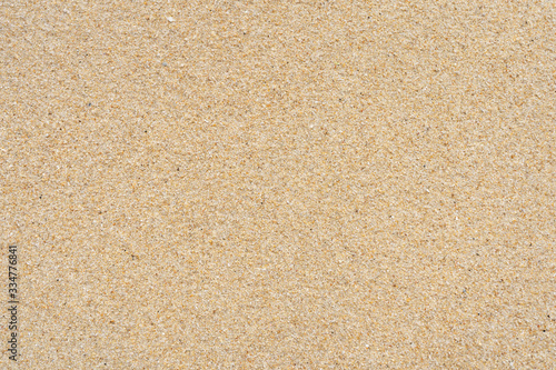 Sand texture on the beach. Crushed shells