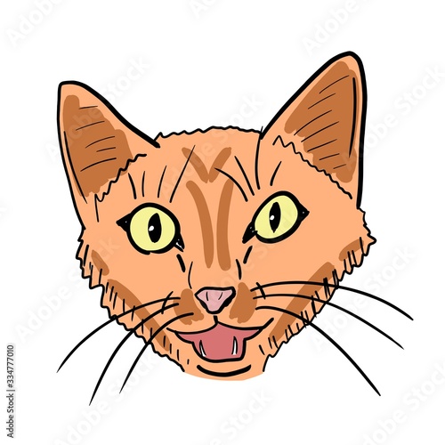 Ginger cat meowing