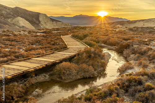 A wooden low level elevated walking path with planks winding through a wetland area with shrubs and a creek flowing in the center. The rising sun is shining over distance mountains