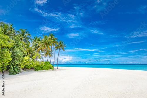 Summer nature landscape. Exotic tropical vacation beach scenery, blue sky white sand with palm trees. Amazing travel beach landscape background