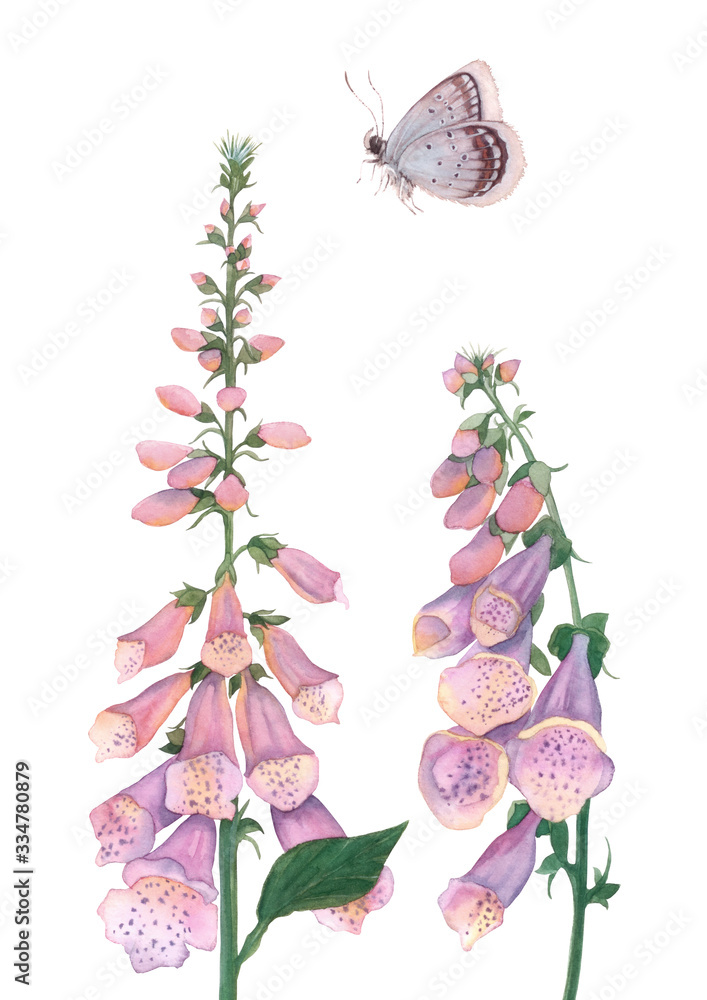 Watercolor Foxglove, Bouquet of  Flowers, Watercolor Butterfly, Home Decor, Watercolor Flowers, Digital Print, Wall Art, Watercolor Art, Gift Of Mother's Day, Pink Flowers, Spring Art - obrazy, fototapety, plakaty 