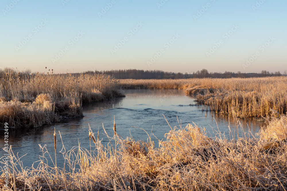 Narwiański Park Narodowy. Rzeka Narew. Polska Amazonia, Podlasie,Polska