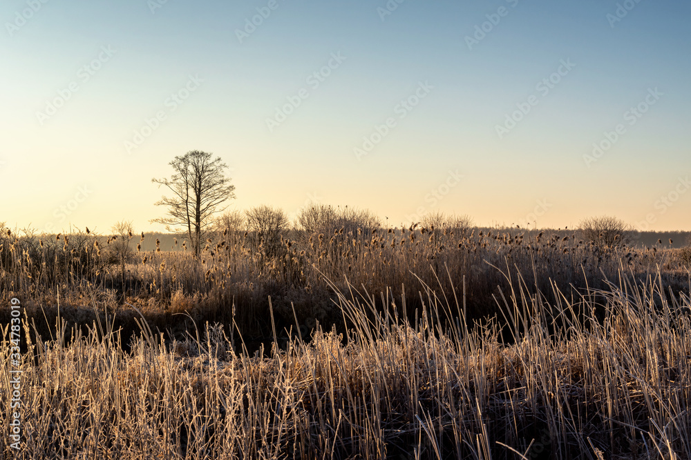 Narwiański Park Narodowy. Rzeka Narew. Polska Amazonia, Podlasie,Polska