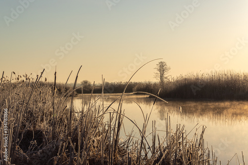 Narwiański Park Narodowy. Rzeka Narew. Polska Amazonia, Podlasie,Polska