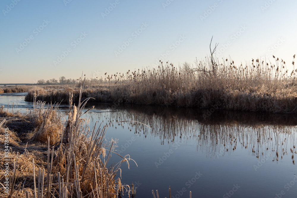 Fototapeta premium Narwiański Park Narodowy. Rzeka Narew. Polska Amazonia, Podlasie,Polska