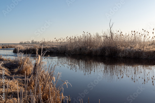 Narwia  ski Park Narodowy. Rzeka Narew. Polska Amazonia  Podlasie Polska