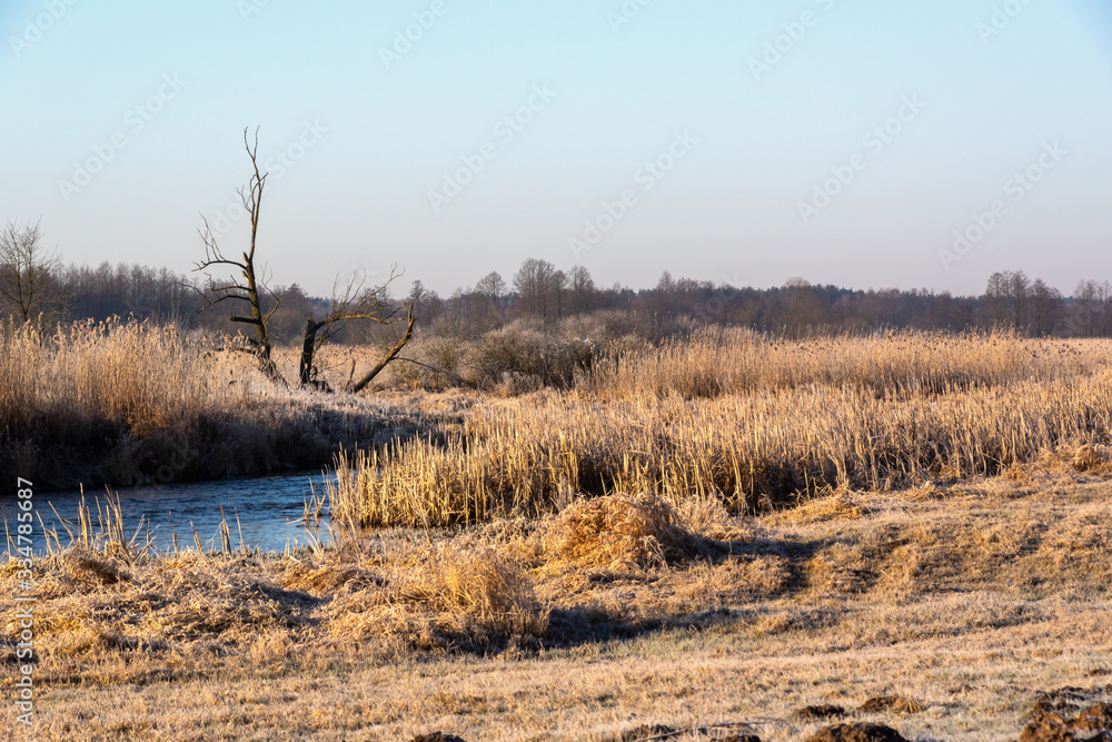 Narwiański Park Narodowy. Rzeka Narew. Polska Amazonia, Podlasie,Polska Narwiański Park Narodowy. Rzeka Narew. Polska Amazonia, Podlasie,Polska