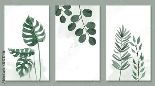Set of botanic and wild leaves in watercolor painting. Design for frame hanging, poster, and card.