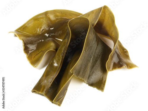 Soaked Kombu - Seaweed isoladet on white background photo