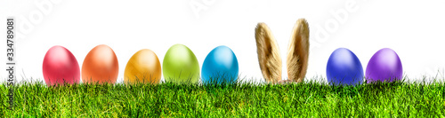 Bunte Ostereier in einer Grünen Wiese Banner