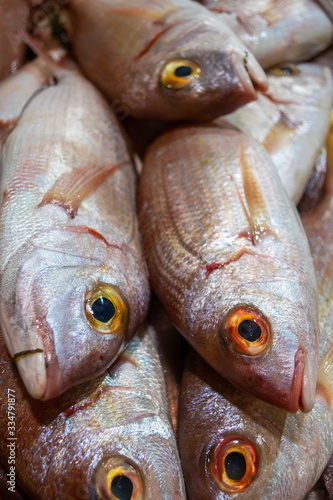 Varieties of fresh fish in market in Tavira, Algarve Portugal