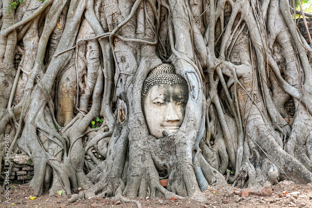 Buddha Head Tree Wat Maha That , Ayutthaya historical park, Thailand
