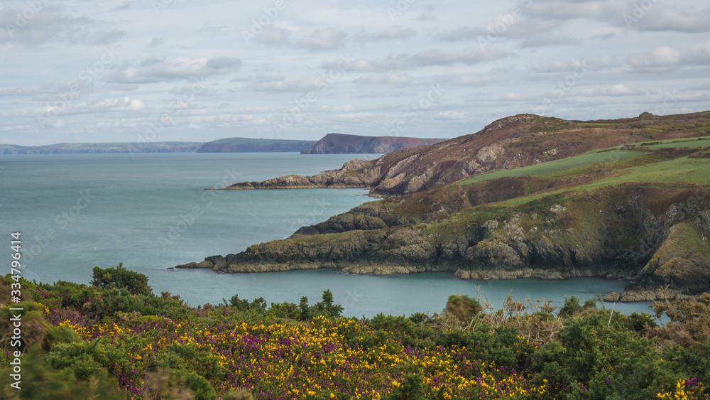 Fototapeta premium Pembrokeshire Coastline, Wales UK