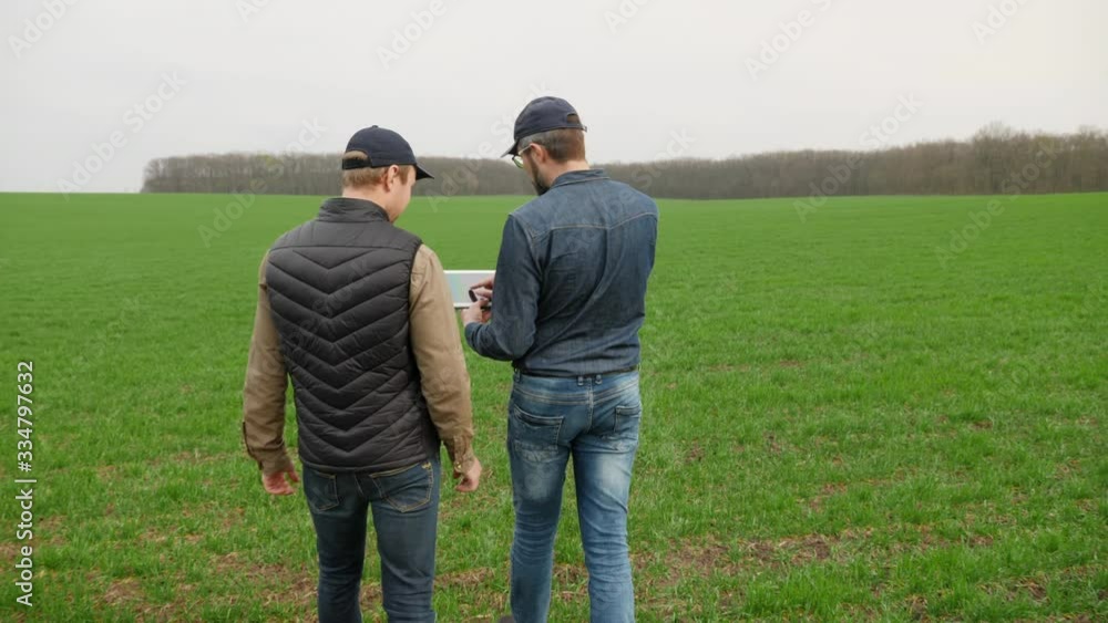 Two farmers walk along a field of winter wheat, look at a digital tablet, communicate, growth monitoring Two farmers walk along a field of winter wheat, look at a digital tablet, communicate, growth monitoring