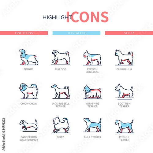 Dog breeds - modern line design style icons set
