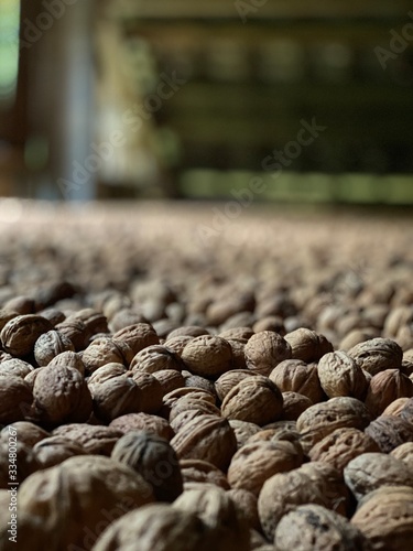 Les noix de grennoble